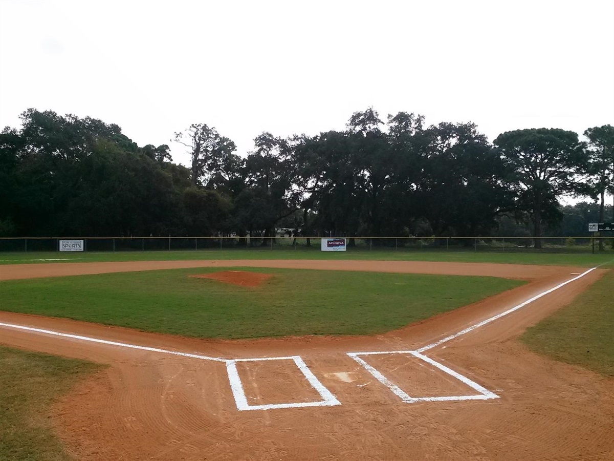 Dunedin's plans for Toronto Blue Jays stadium to become public this summer